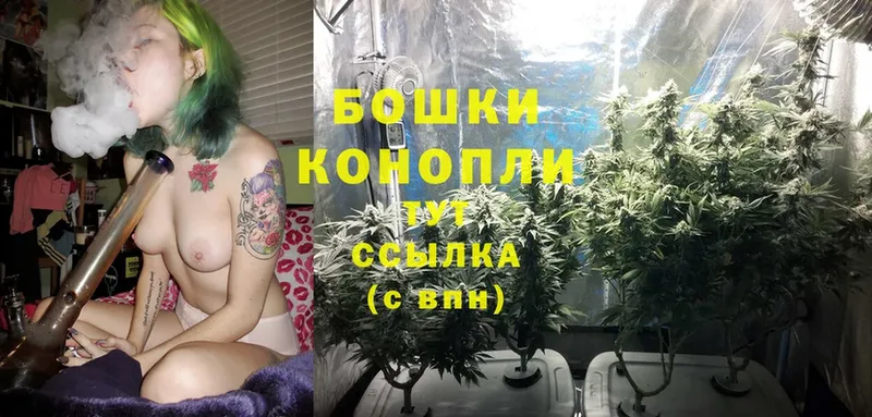 МАРИХУАНА Ganja  наркота  Верея 